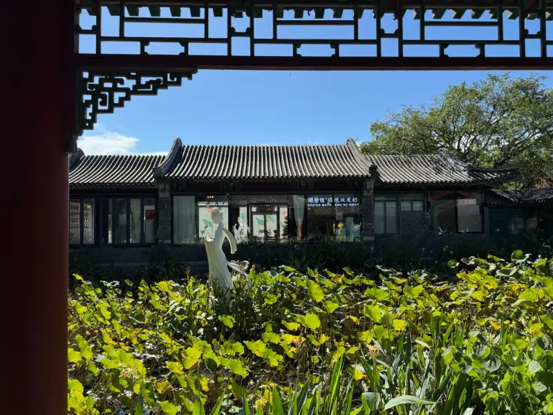 横琴科技研发企业数字化转型软件定制开发方案与案例